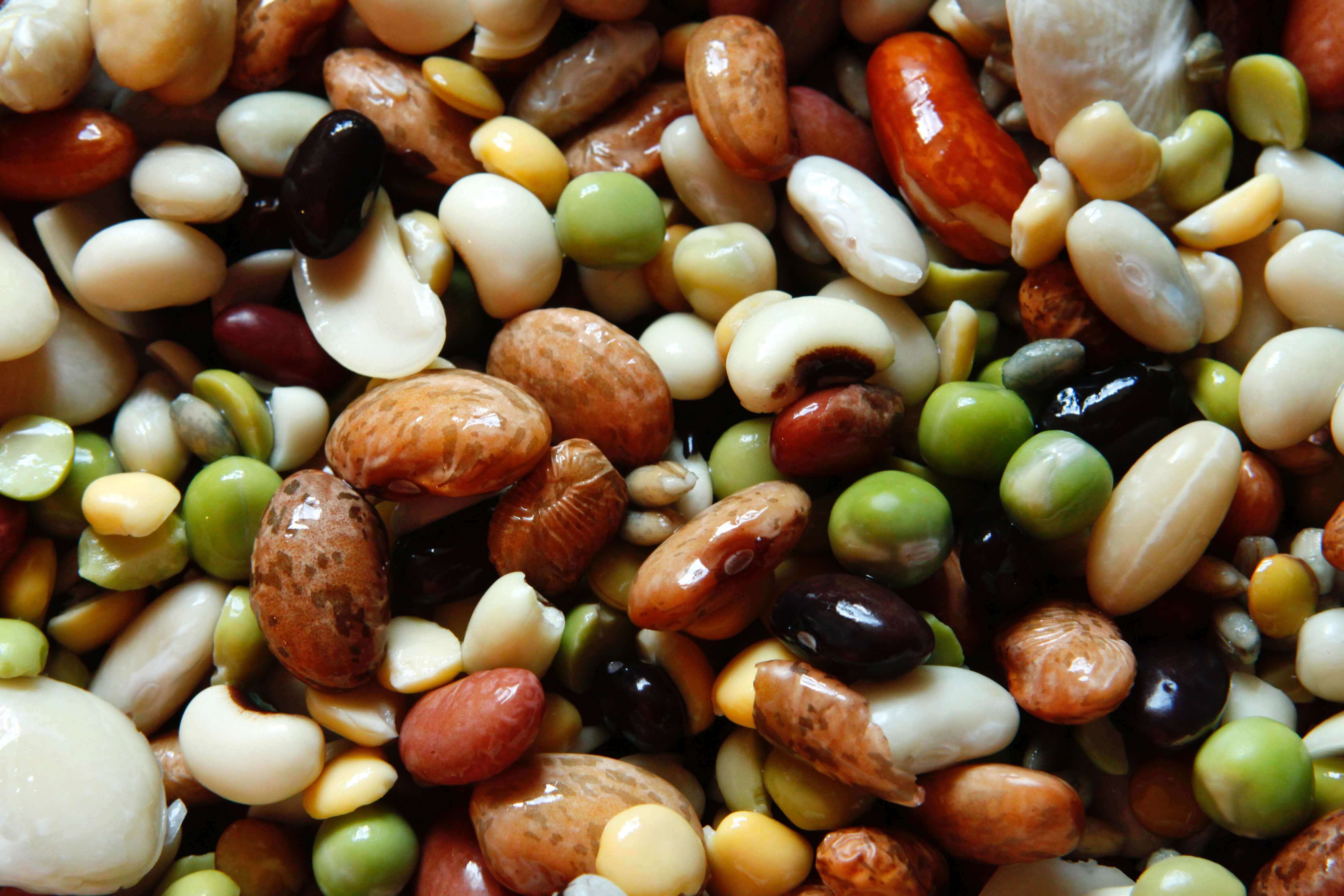 vegane Eisenquellen: Bohnen und Linsen und Erbsen