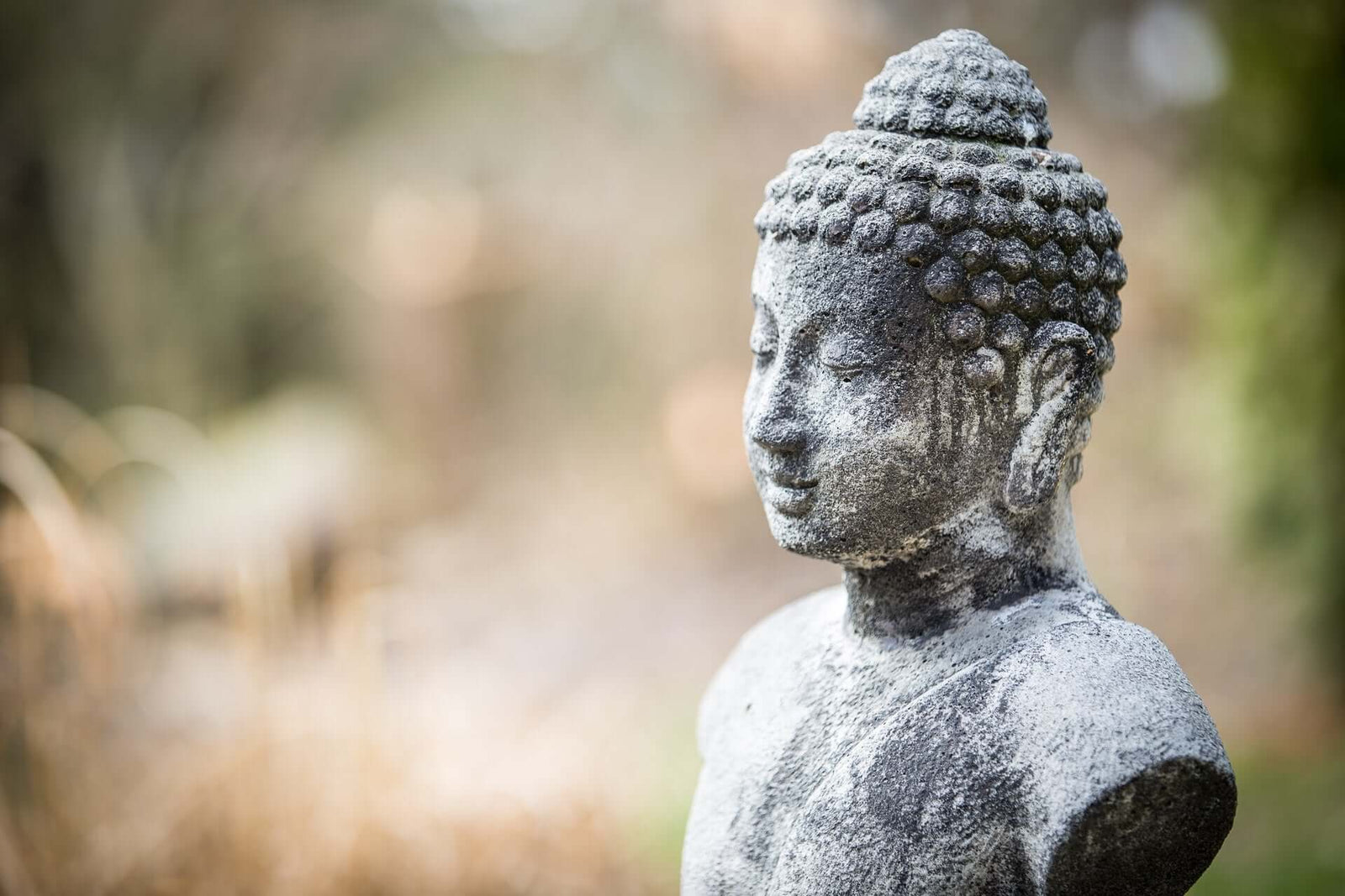 Zen Was bedeutet das eigentlich?
