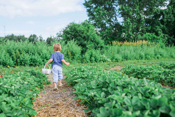 Kleinkind läuft durch ein Beet in einem Garten mit einem Korb in der Hand