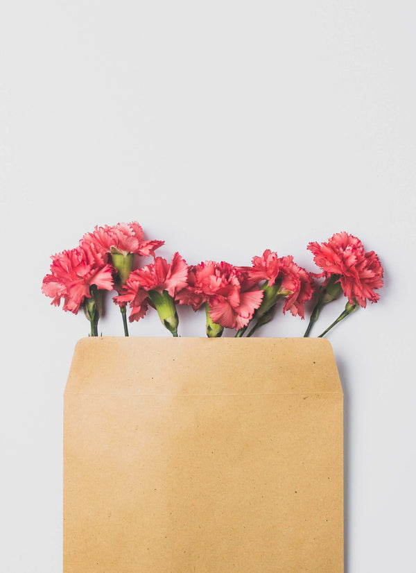Blumen schauen aus einem Briefumschlag heraus
