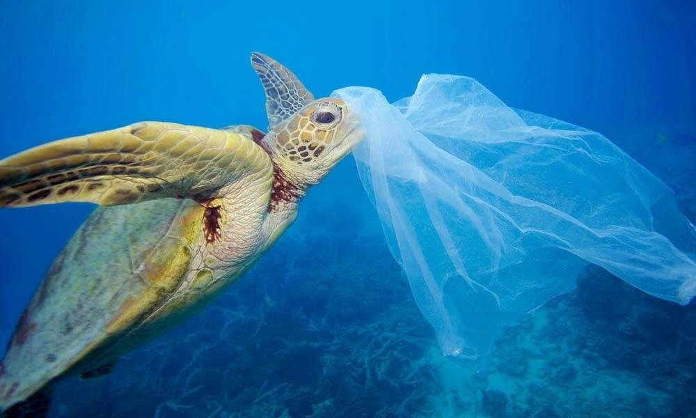 Wie gelangt Plastikmüll eigentlich ins Meer? | paigh | Fair & gemütlich